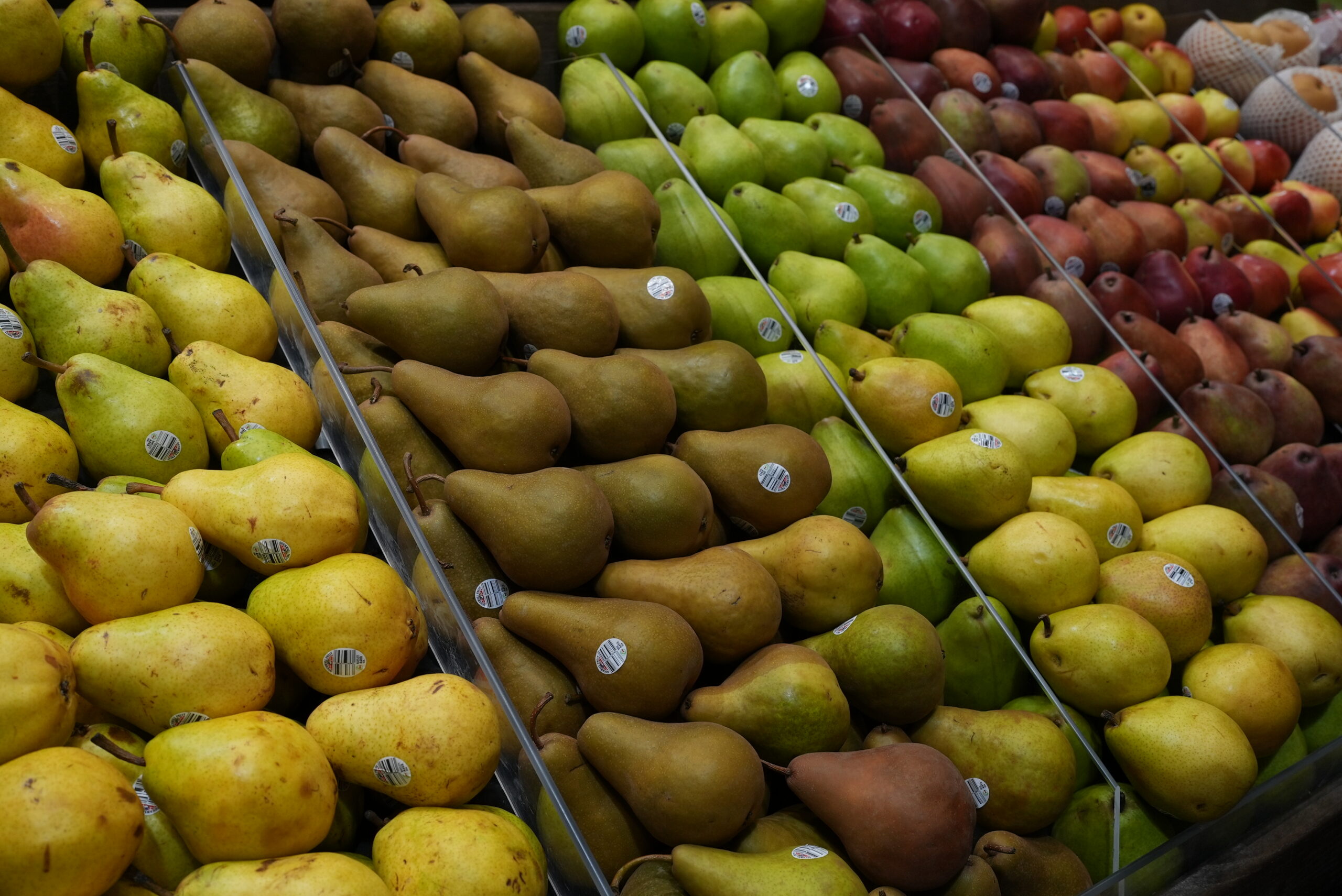 Livoti's-January2025-Brick-Produce-Pears
