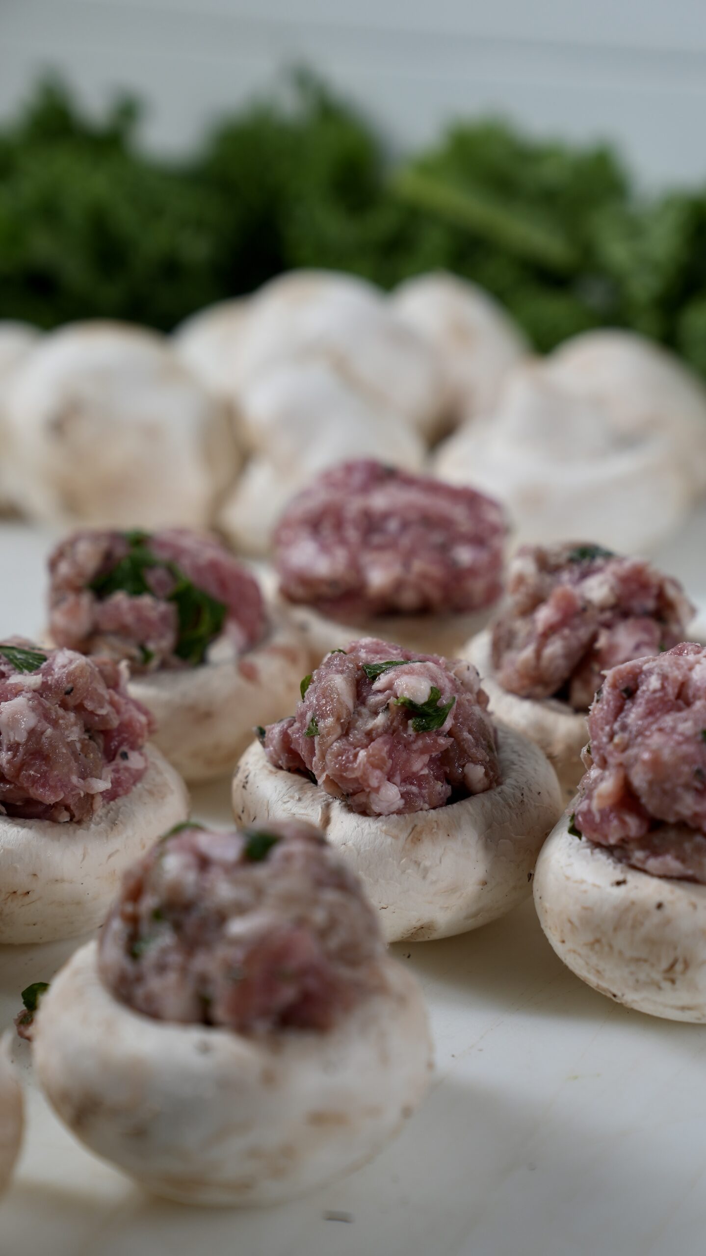 Livoti's-September2022-AllLocations-Butcher-mushroom with meat
